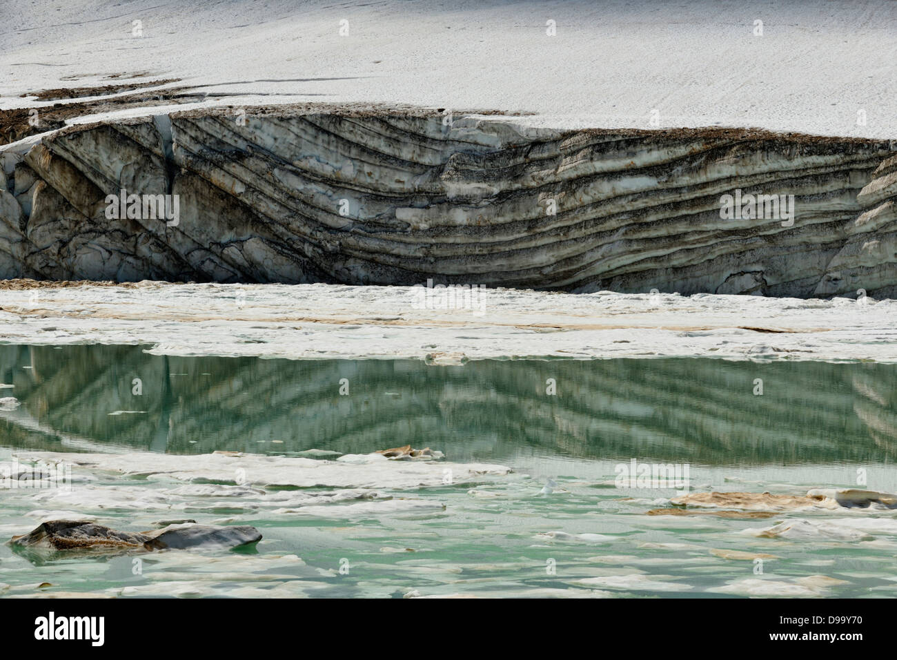 Cavell Lac Glacier et d'icebergs Jasper National Park, Alberta, Canada Banque D'Images