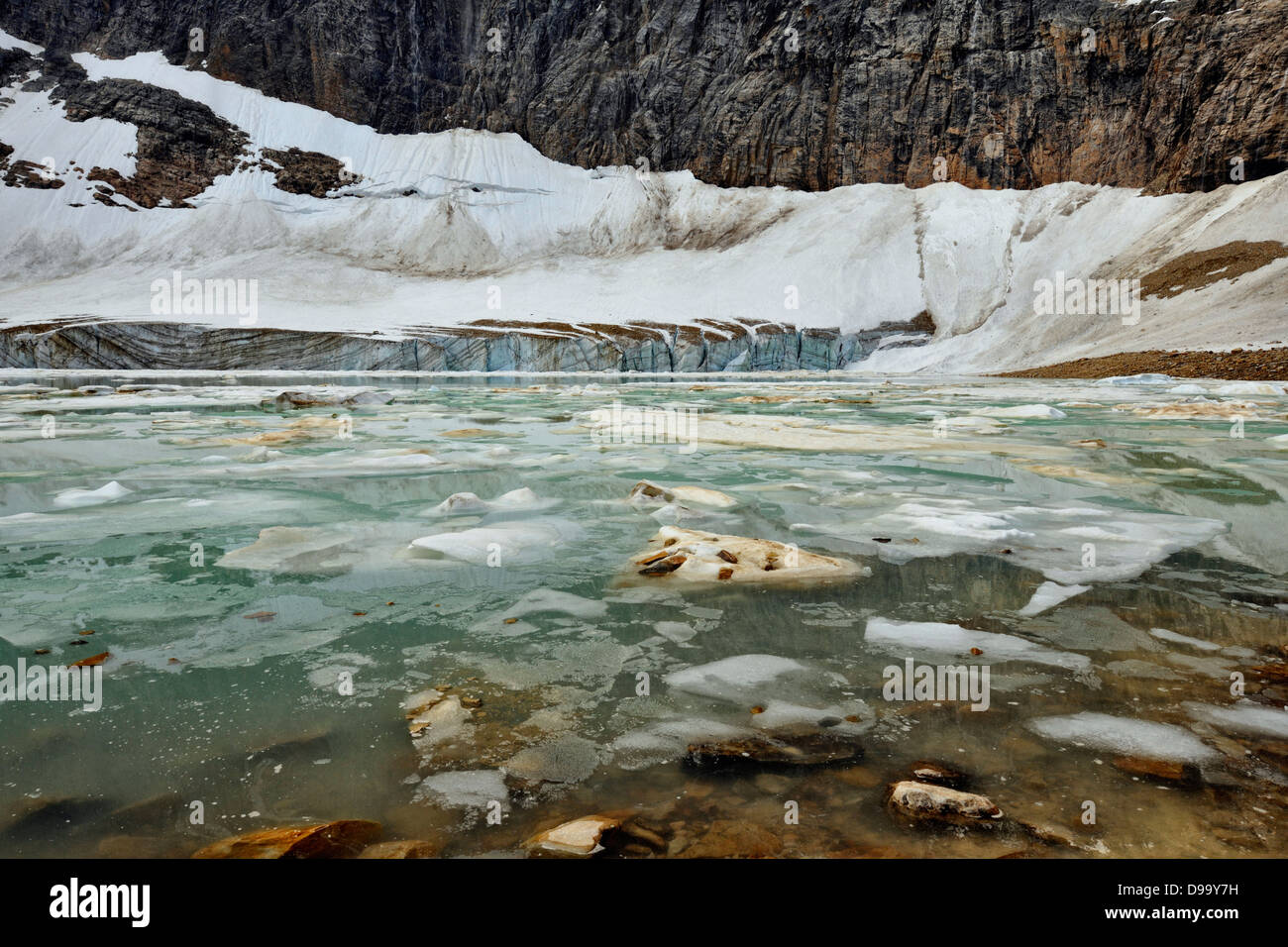 Cavell Lac Glacier et d'icebergs Jasper National Park, Alberta, Canada Banque D'Images