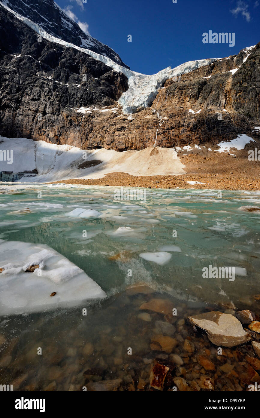 Mt. Edith Cavell Lac glaciaire avec le Glacier Angel Jasper National Park, Alberta, Canada Banque D'Images