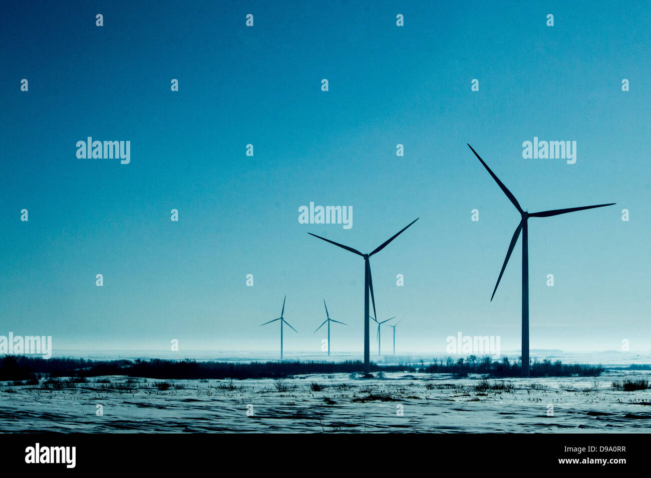 Le vent, le vert, l'alimentation, de turbines, inventive, paysage, Castor, Alberta, projet du vent, l'énergie propre, l'énergie, l'Alberta, Canada, ferme, w Banque D'Images