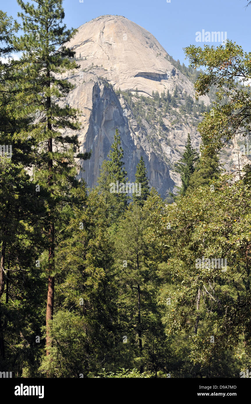 Dôme de granit s'élève derrière les arbres dans la vallée Yosemite, California, USA. Banque D'Images