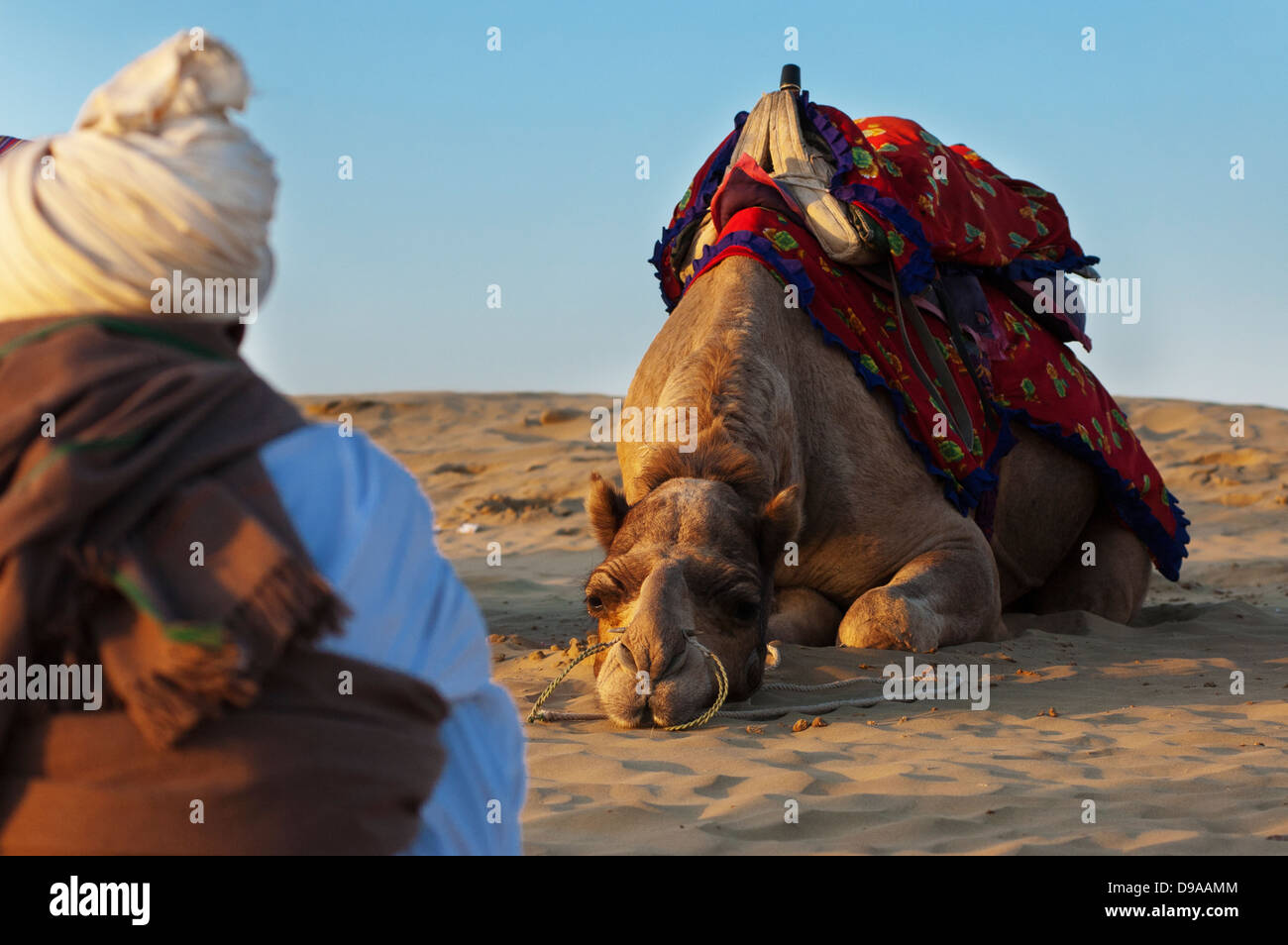 Chamelier attend que les touristes à la Dune de sable de Sam à Jaisalmer, Inde. Banque D'Images