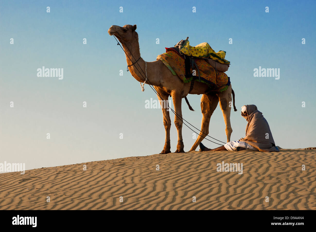 Chamelier attend que les touristes à la Dune de sable de Sam à Jaisalmer, Inde. Banque D'Images