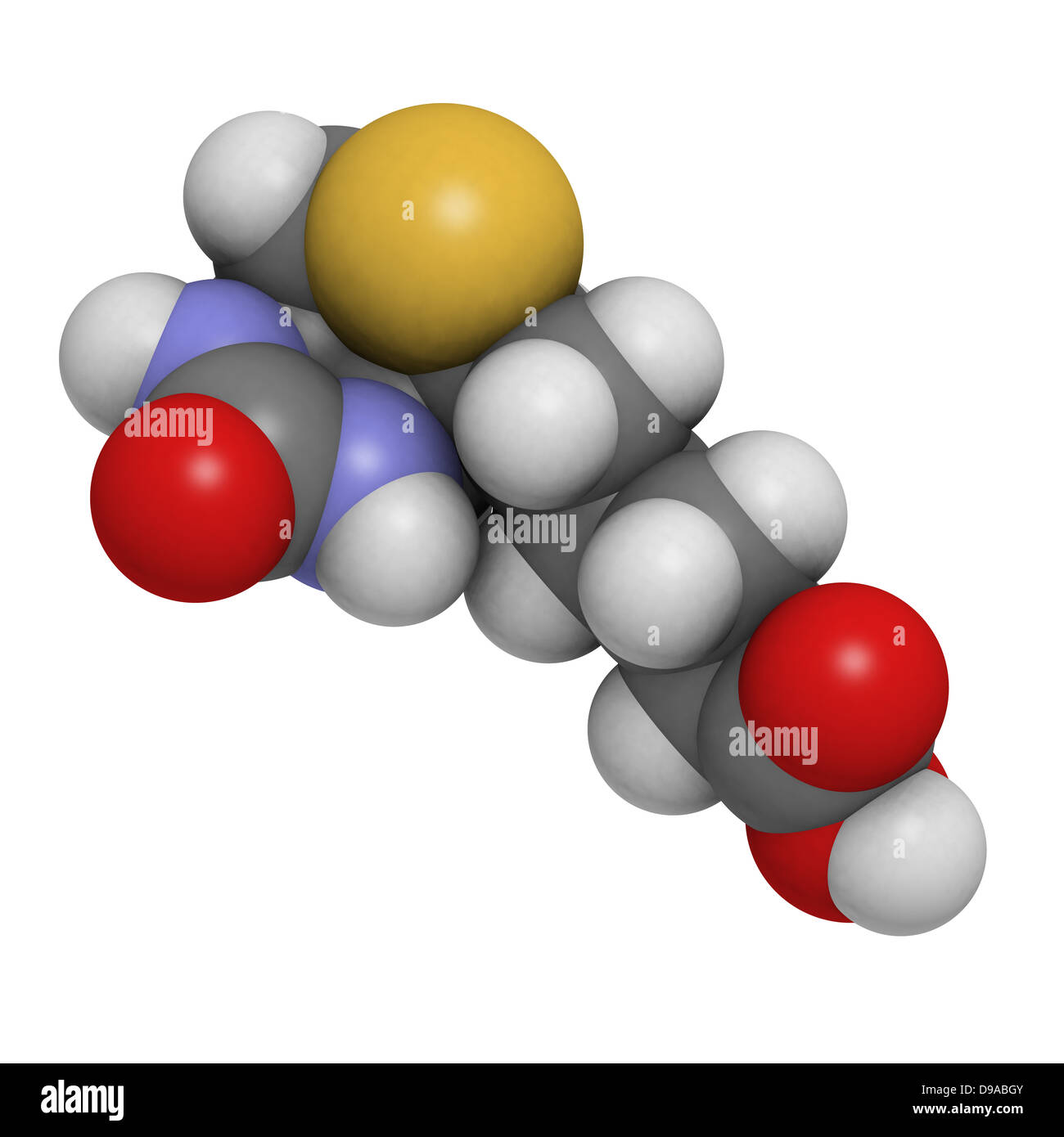 La vitamine B7 (biotine), le modèle moléculaire. Les atomes sont représentés comme des sphères avec codage couleur classiques Banque D'Images