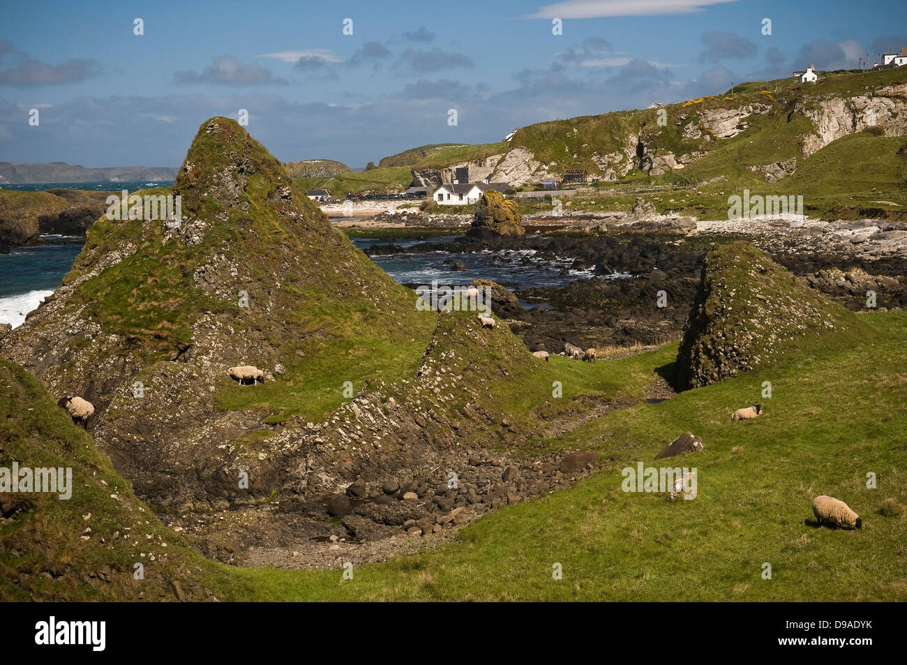 Ballintoy Harbour côte, comté d'Antrim, en Irlande du Nord, Royaume-Uni Banque D'Images