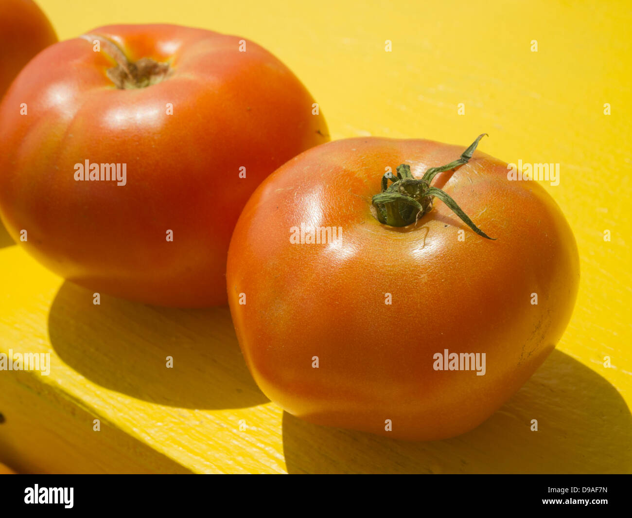 New Jersey tomates Beefsteak dans un éventaire routier Banque D'Images