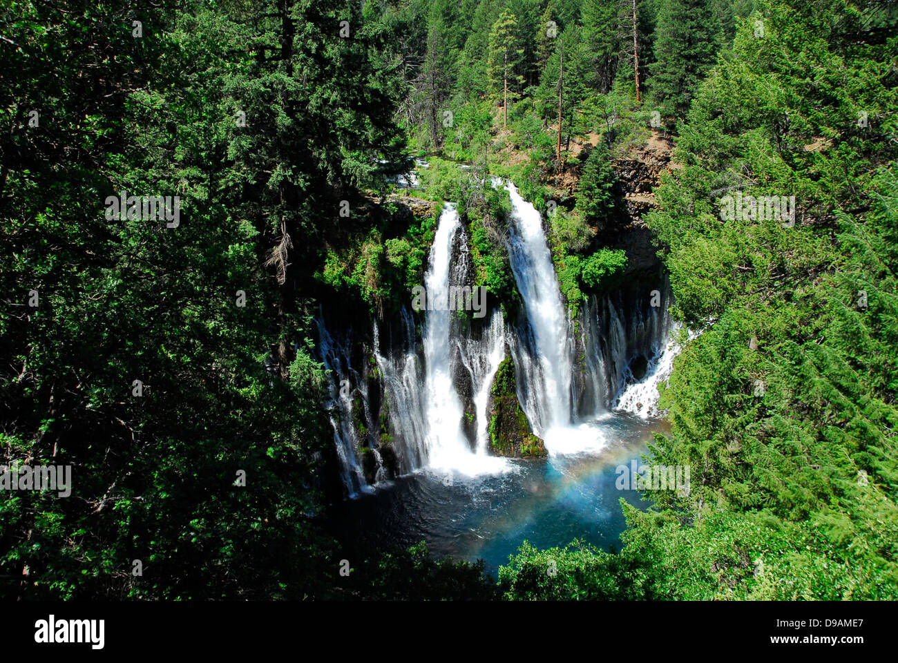 129 pieds Burney Falls dans Arthur-Burney Mc Falls Memorial State Park, Burney, California, USA Banque D'Images