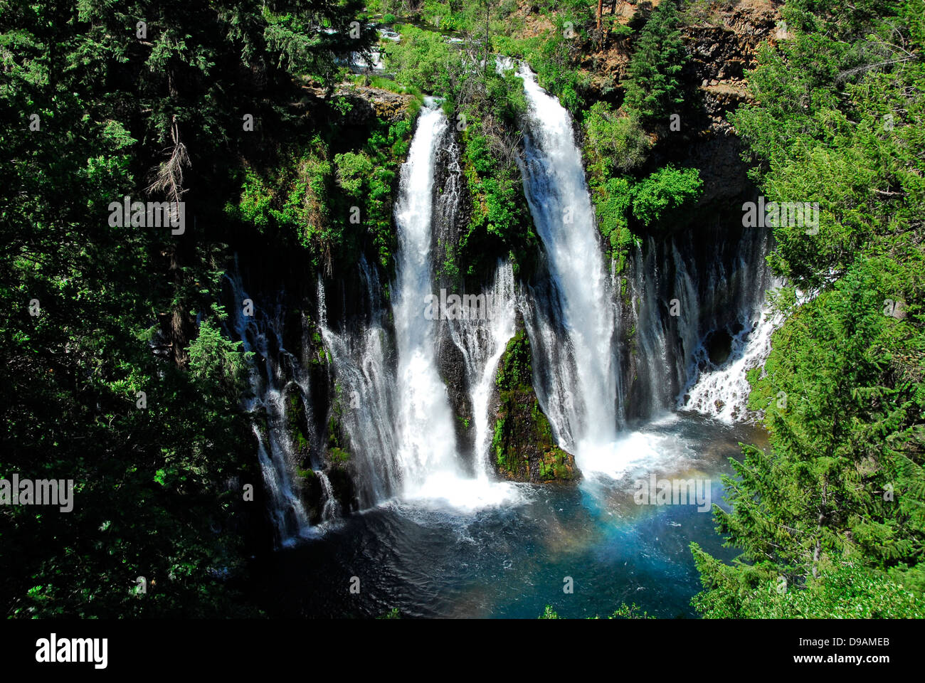 129 pieds Burney Falls dans Arthur-Burney Mc Falls Memorial State Park, Burney, California, USA Banque D'Images