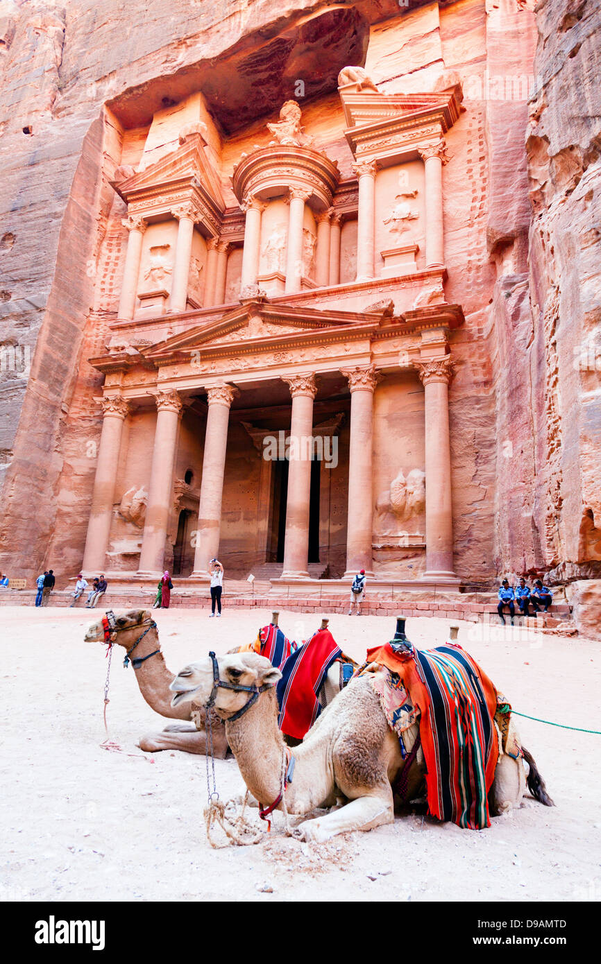 Les chameaux en face d'Al Khazneh à Petra, Jordanie Banque D'Images