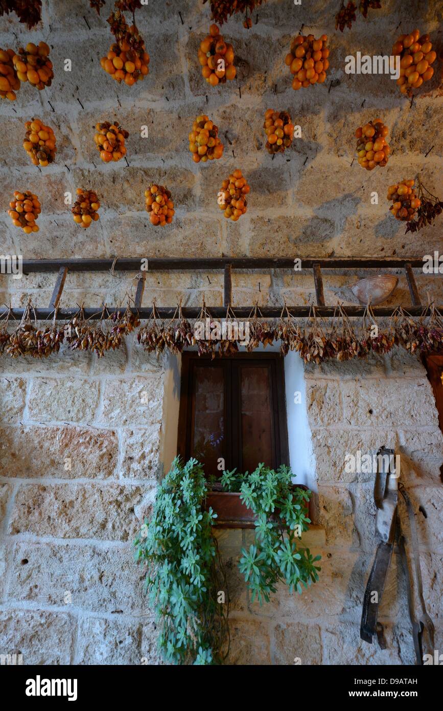 Tomates séchées dans l'Italie. Photo : Frank May Banque D'Images