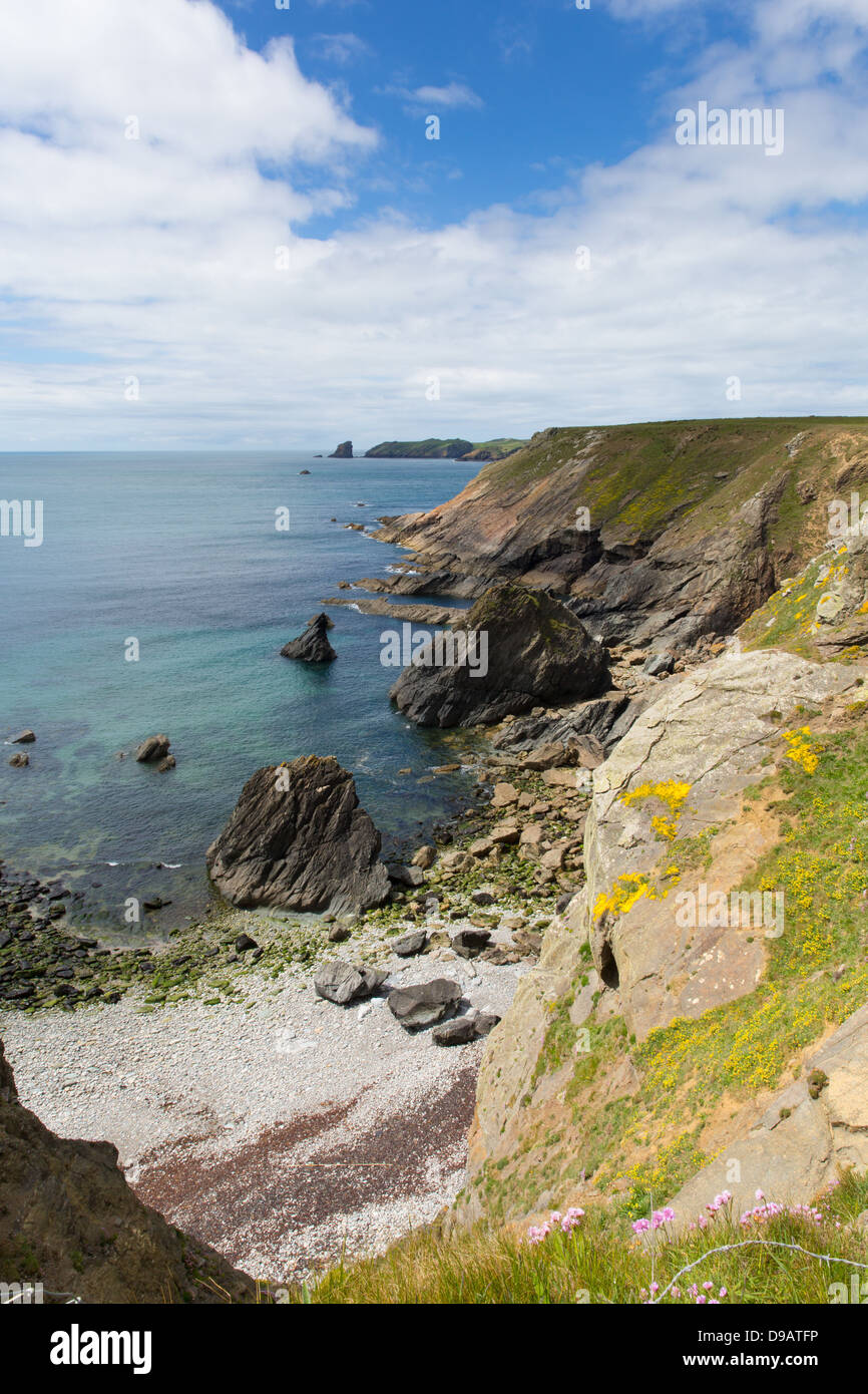 Vue côtière gallois vers l'île de Skomer Pembrokeshire, région connue pour les macareux, de la faune et une réserve naturelle nationale. Banque D'Images