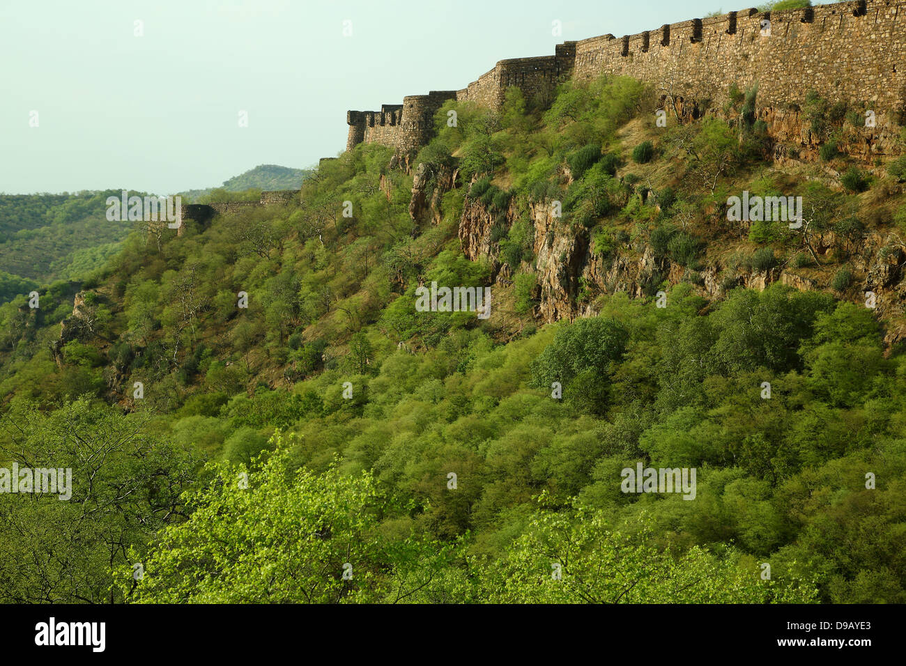Vue sur le Ranthambhore fort dans le Parc National de Ranthambhore au Rajasthan, Inde Banque D'Images