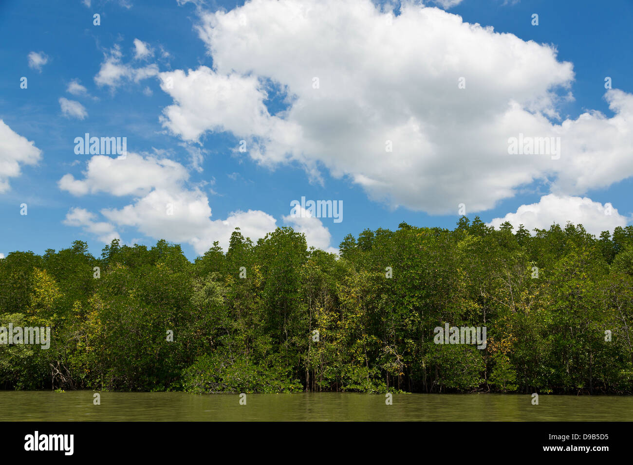 Berge de la rivière Nam Pak en Thaïlande Krabi Banque D'Images