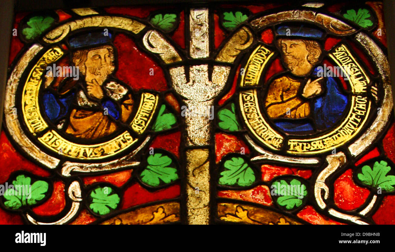 Arbre de Jessé Fenêtre : Le fauteuil inclinable Jesse, Le Roi David et des scènes de la vie de Jésus. Pot en verre-métal, vitreux et peinture de plomb. Allemand, Souabe. Peint en 1280-1300. Le livre d'Isaïe présente Jesse, un ancêtre de Jésus, comme la racine d'un grand arbre. Banque D'Images