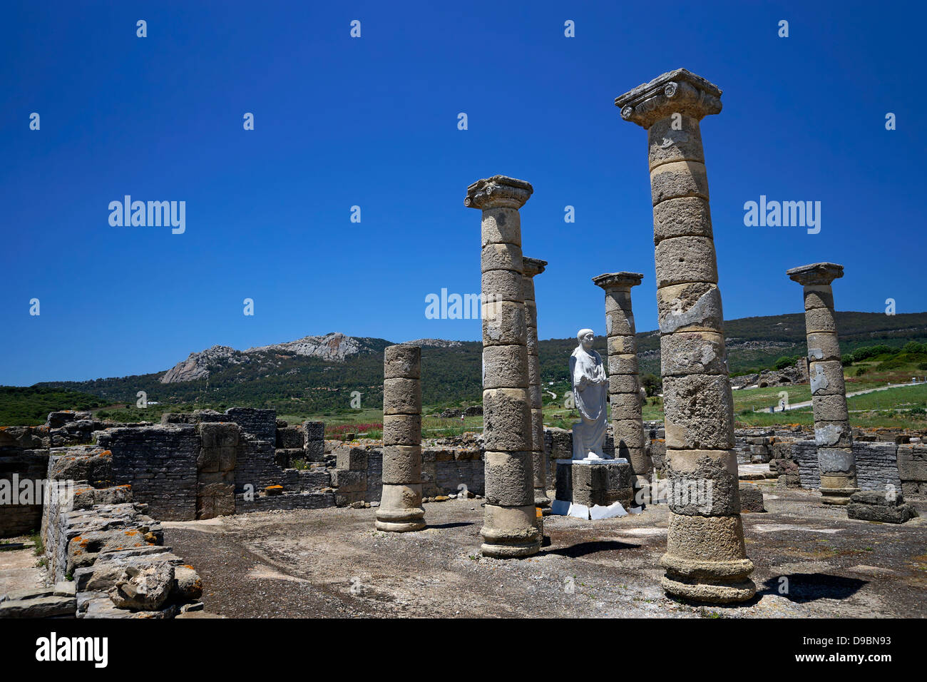 Baelo Claudia, Bolonia, archéologie romaine, ruinas romanas, Tarifa Banque D'Images