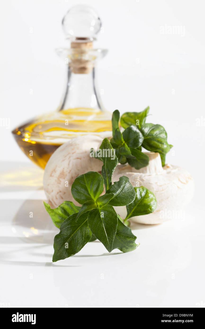 Usine de champignons avec des champignons et d'huile d'olive sur fond blanc, Close up Banque D'Images
