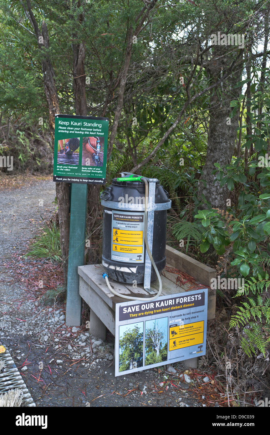 La forêt dh NORTHLAND Nouvelle-zélande Kauri die retour station de nettoyage protection de la ZEP pour chaussures Banque D'Images