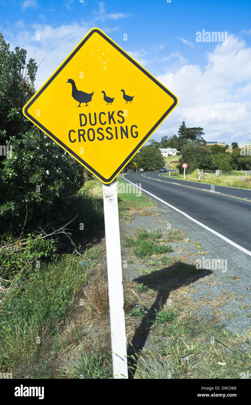 Dh NORTHLAND Nouvelle-zélande Ducks crossing sign attention avertissement signpost nz road Banque D'Images