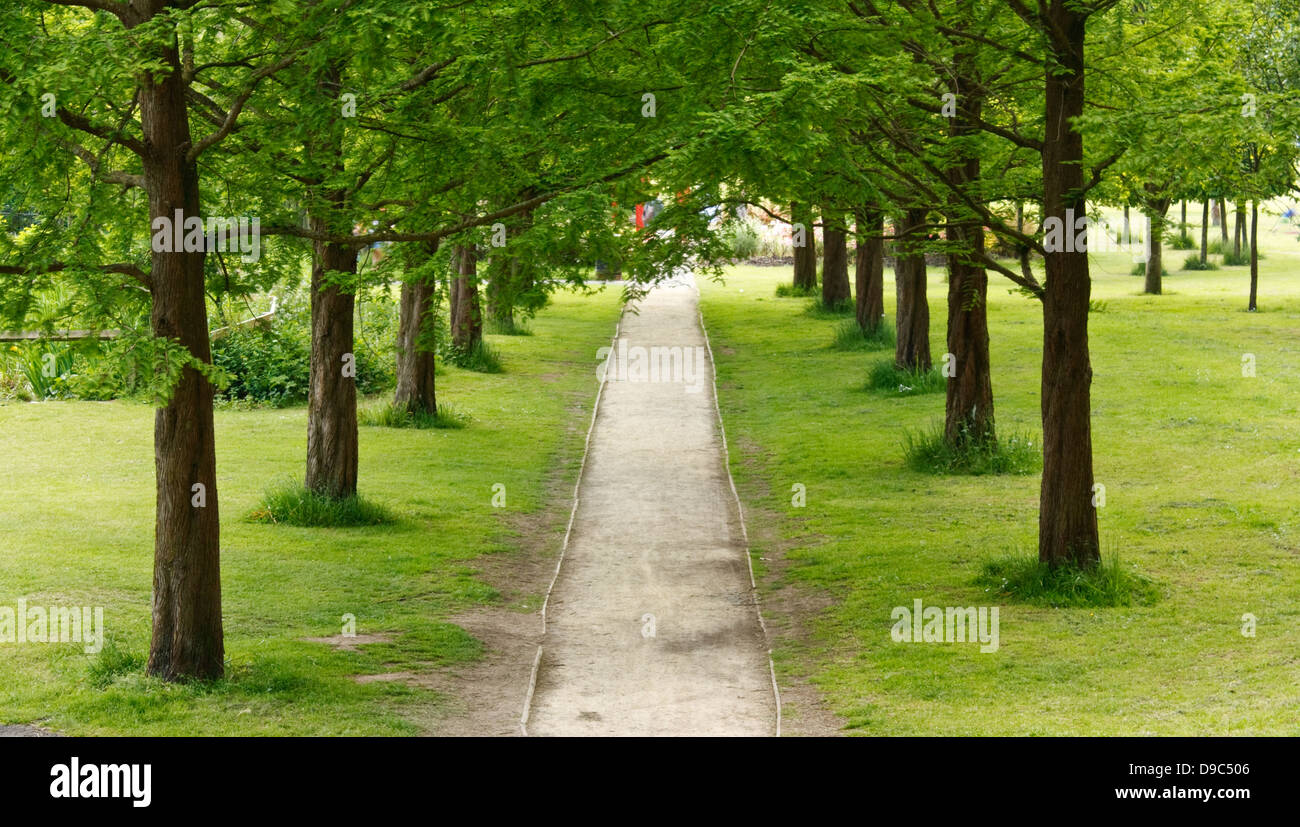 Chemin bordé d'arbres ou avenue disparaissant dans la distance dans une zone de loisirs ou le parc urbain Banque D'Images