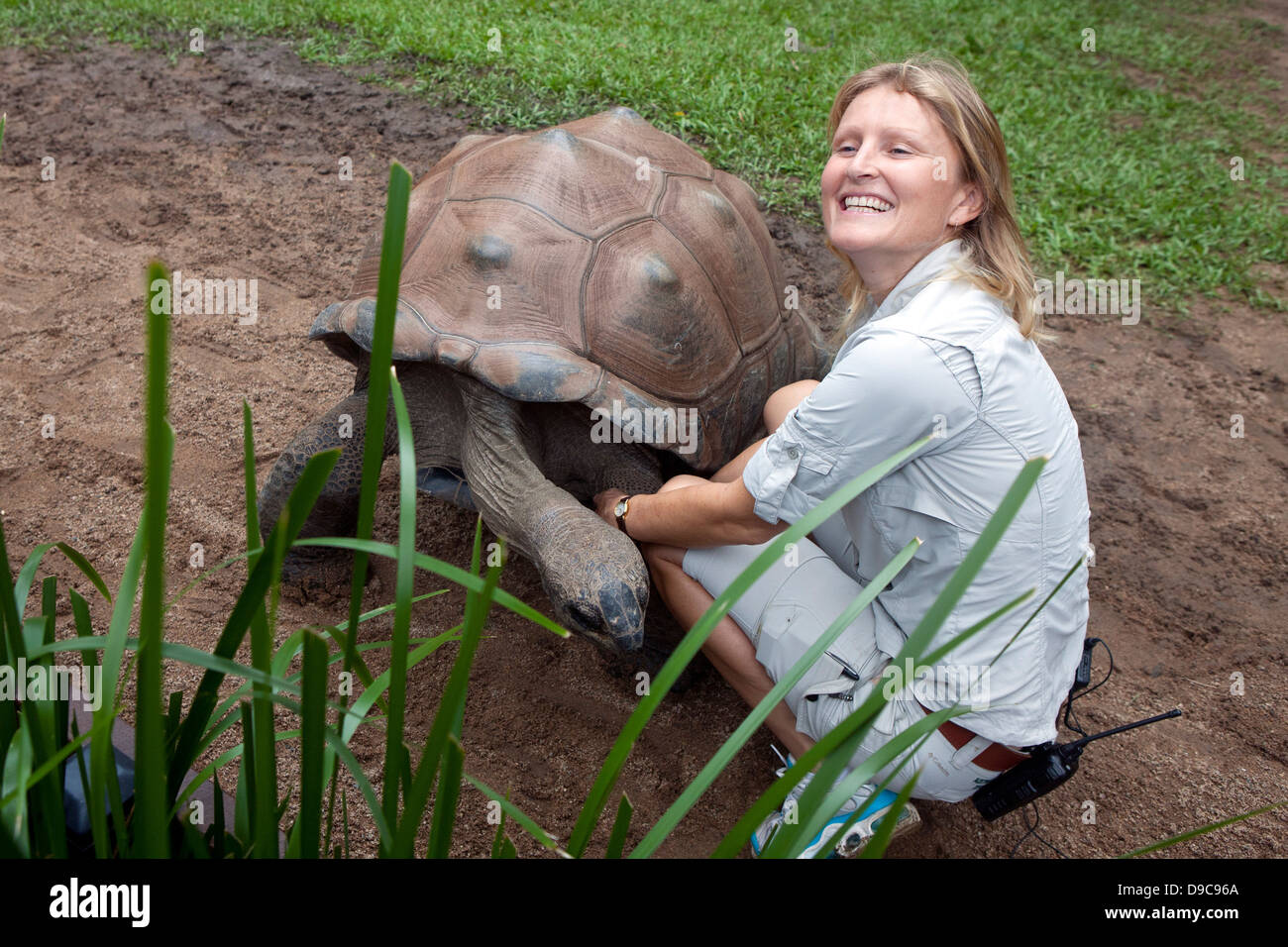 Une femme zoo worker smiling à côté d'une tortue géante Aldabran (Aldabrachelys gigantea), le Zoo de l'Australie, Queensland, Beerwah, Banque D'Images