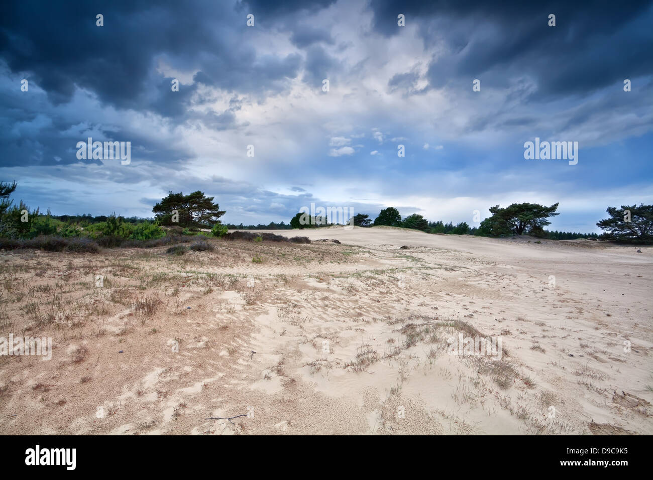 Les nuages de tempête sombre sur des dunes en Drenthe, Orthez Banque D'Images