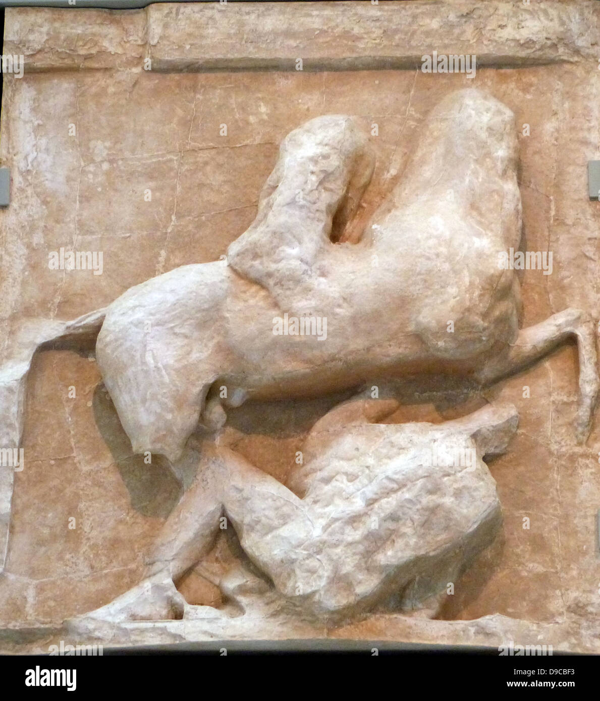 Amazon warrior contre un soldat grec, représenté dans une partie de la frise du Parthénon au Parthénon/musée de l'Acropole, Athènes Banque D'Images