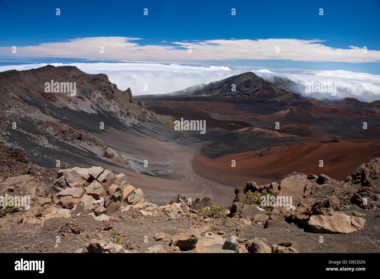 Vue paysage de montagnes volcaniques, Leleiwi, donnent sur le parc national de Haleakala, Maui, Hawaii, United States of America Banque D'Images