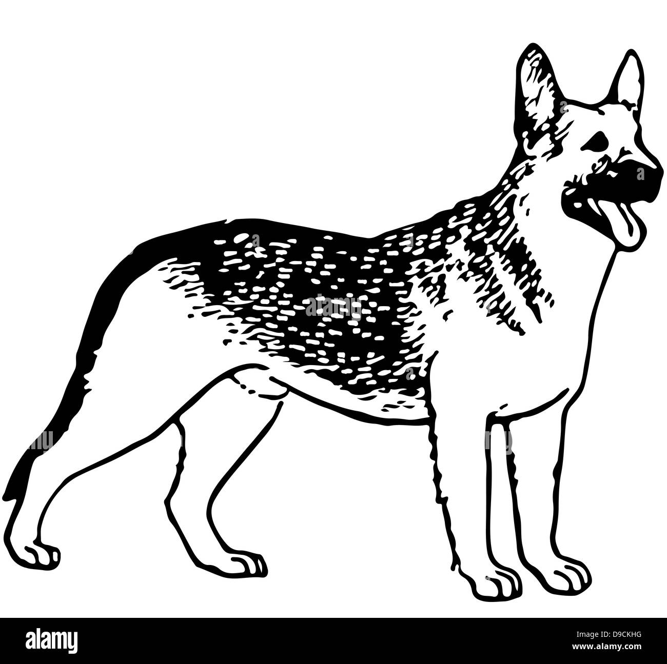 Dessin en noir et blanc isolé sur fond blanc Banque D'Images