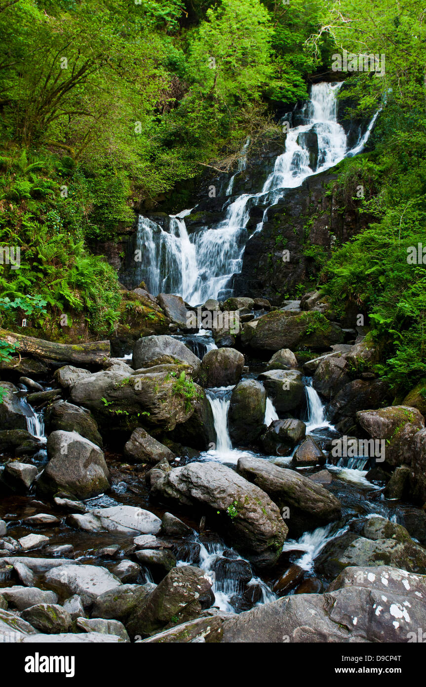 De superbes chutes de Torc dans le Parc National de Killarney, Irlande Banque D'Images