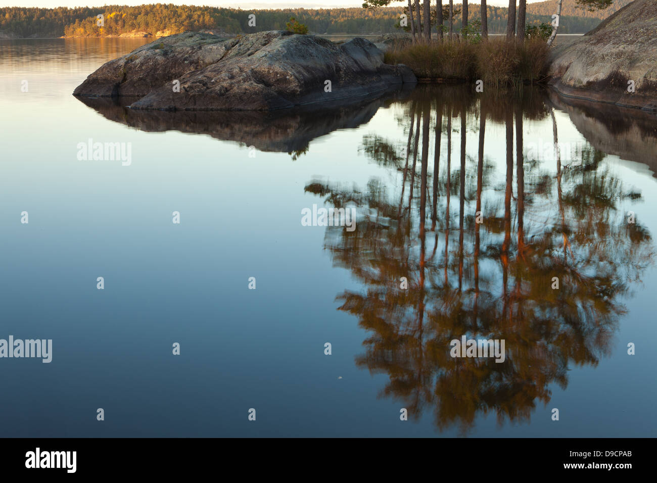 Soirée d'automne à l'île dans le lac Vansjø Østenrødøya dans Østfold, Norvège. Vansjø est une partie de l'eau appelé système Morsavassdraget. Banque D'Images