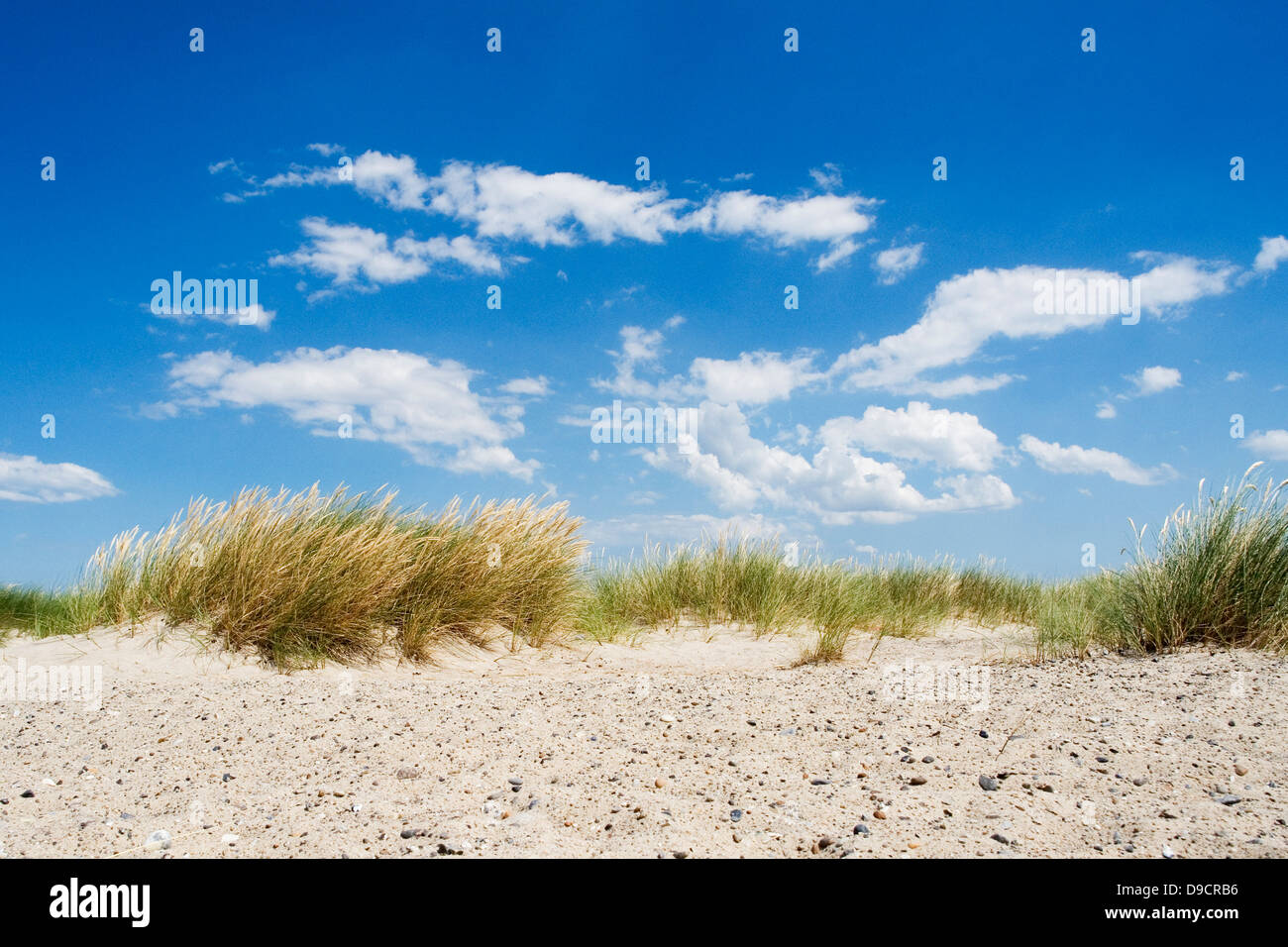 Plage de la mer Baltique Banque D'Images