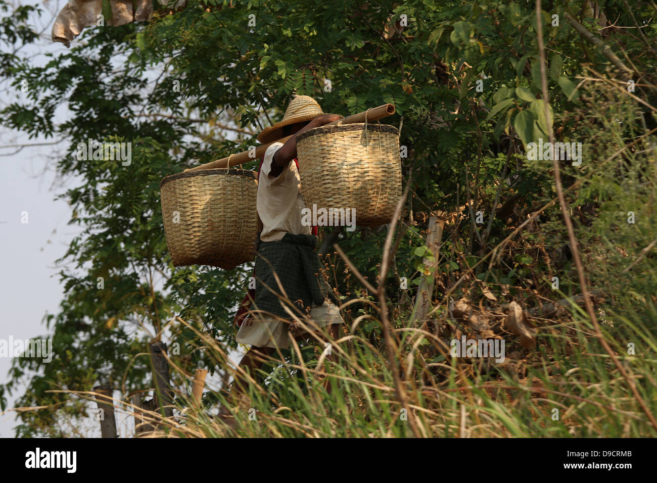 Membre de la tribu locale des paniers tressés portant sur l'épaule marche le long du lac Inle près de Inthein, Myanmar, Birmanie, en Asie du sud-est Banque D'Images