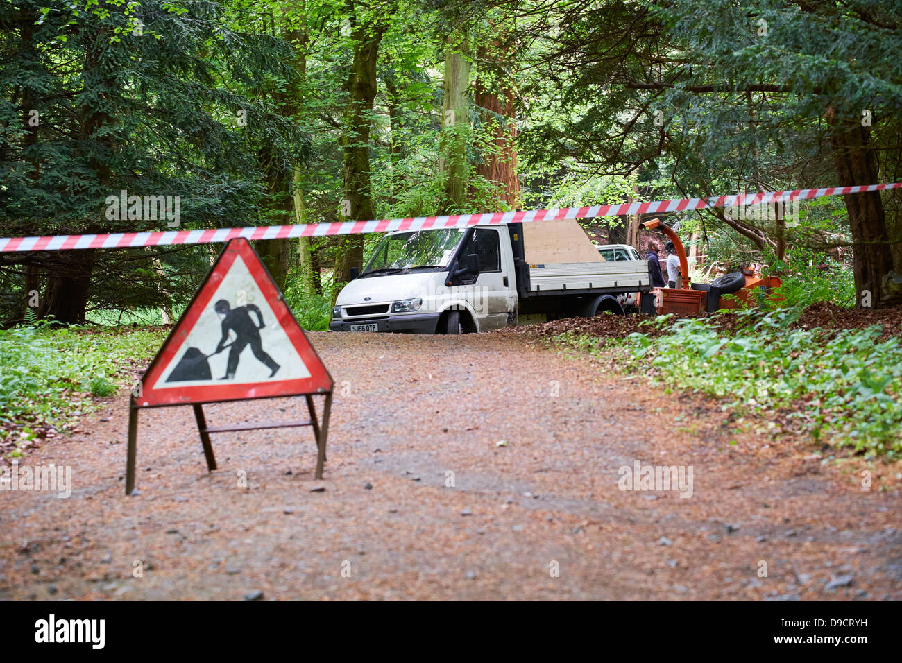 Signe de l'homme au travail et taraudé off road tout en un dangereux arbre est coupé vers le bas. Se concentrer sur les hommes et van en arrière-plan. Banque D'Images