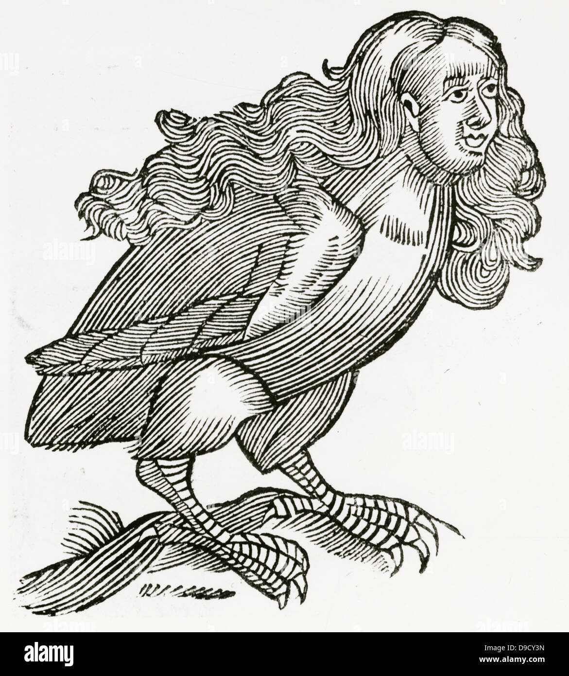 Dans la mythologie grecque une harpie était un monstre puant crasseux, avec une tête de femme et à corps d'oiseaux, de contaminer tout ce qu'il s'approcha. Gravure sur bois à partir d'une édition 1669 de l'Historiae animalium par Conrad Gesner. Banque D'Images