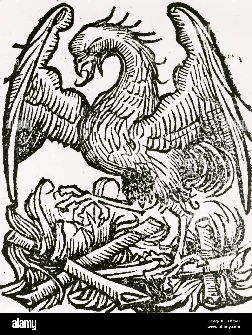 Le Phoenix, un oiseau fabuleux qui, à la fin de vie fait un nid qu'il incendie, Burns lui-même en cendres, puis vient à la vie. Chronicrum de liber mundi, Nuremberg, 1493. Banque D'Images