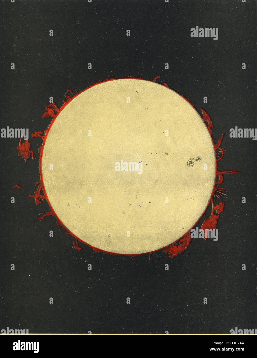 Observations du soleil faites à l'Observatoire de l'Université de Harvard, Cambridge, Massachusetts, USA au cours de 1873, montrant les protubérances et taches solaires. Chomolithograph. Banque D'Images