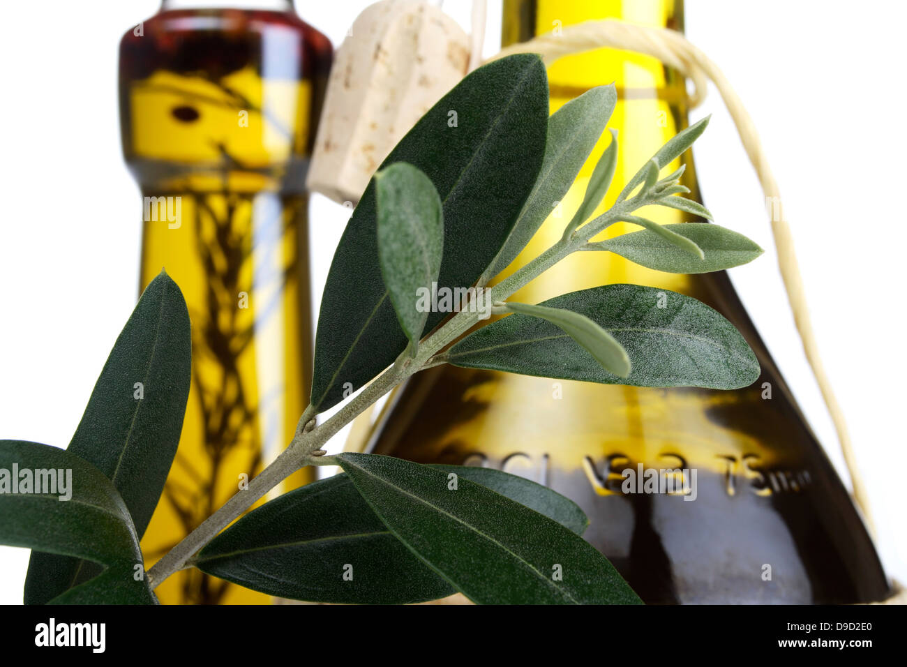 Branche d'olivier avec des bouteilles d'huile d'olive Banque D'Images