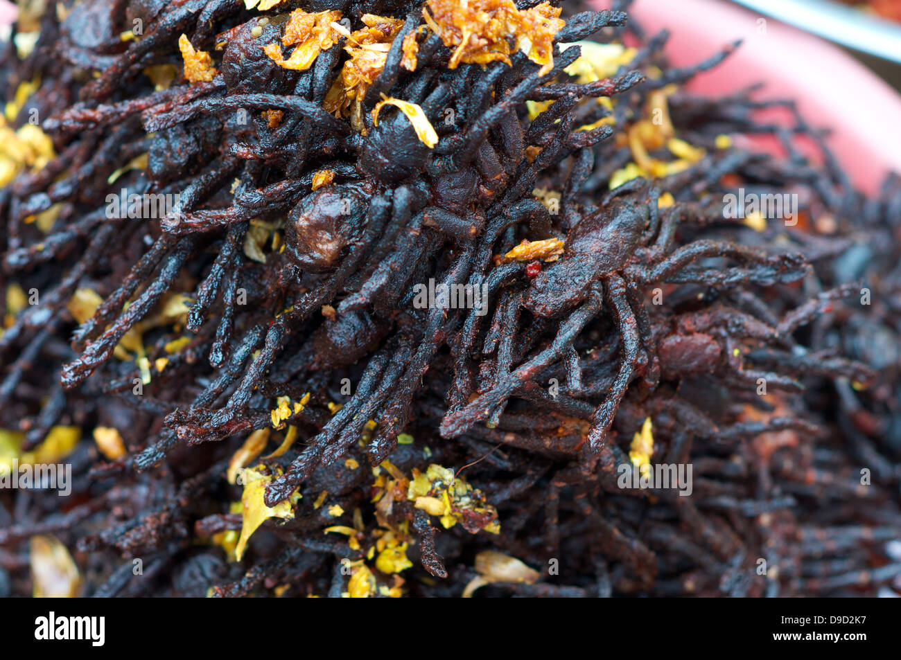 Spider frits, les arachnides - street food du Cambodge Banque D'Images