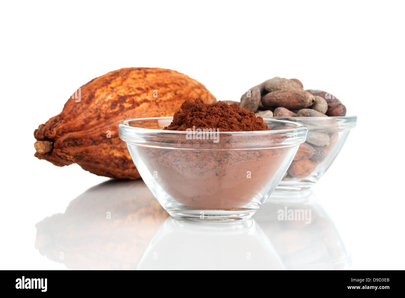 Les fèves de cacao et poudre de cacao Banque D'Images