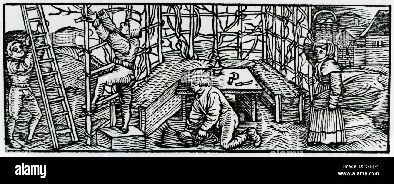 Un chevalier passe la chasse. Gravure sur bois à partir de la ''Calendarum Romanum Magnum'', 1518. Banque D'Images