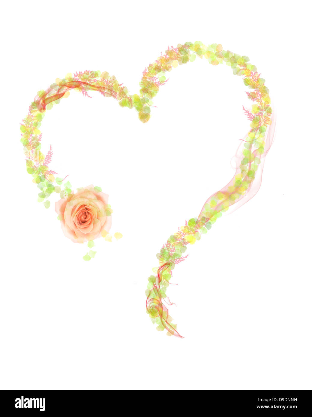 Forme de coeur fait avec des feuilles et fleurs Banque D'Images