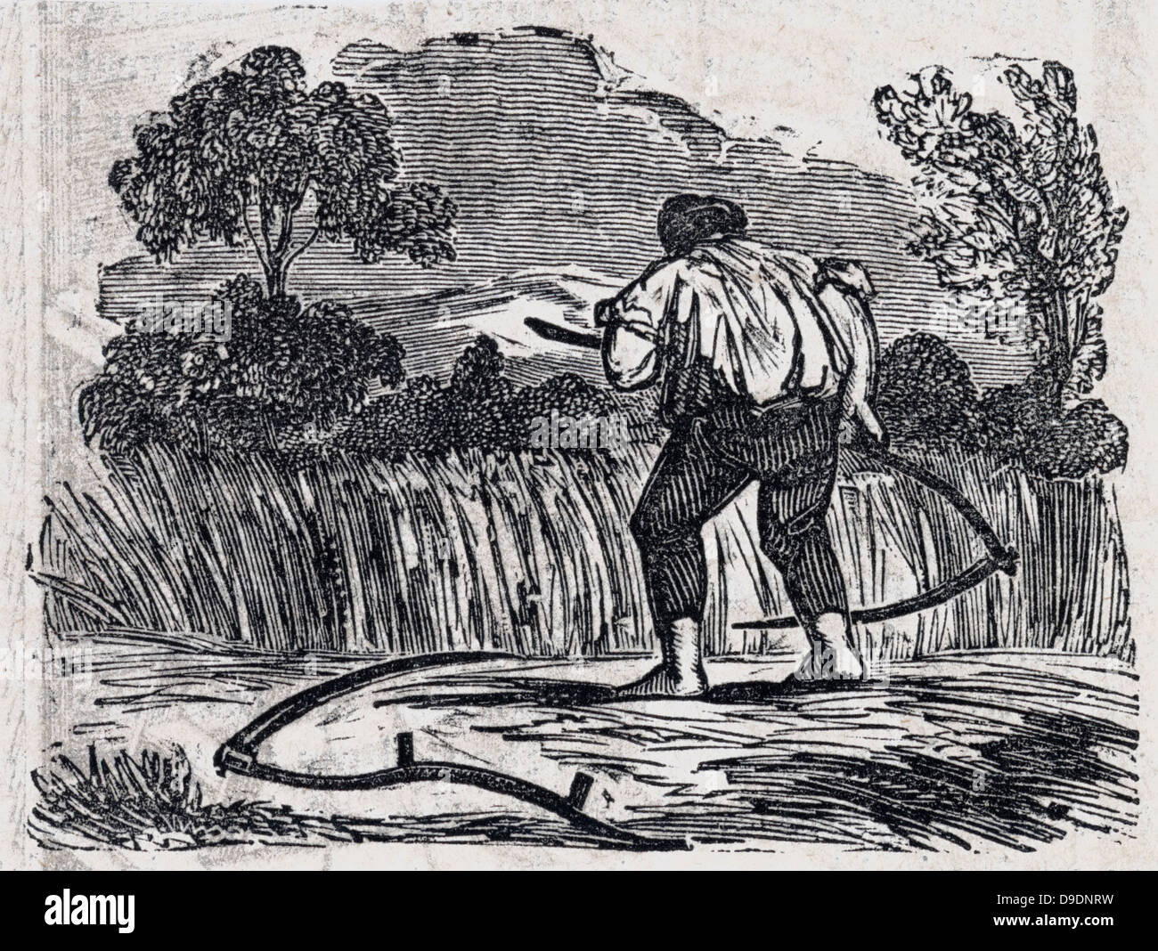 Le fauchage du foin. Gravure sur bois, 1835. Banque D'Images