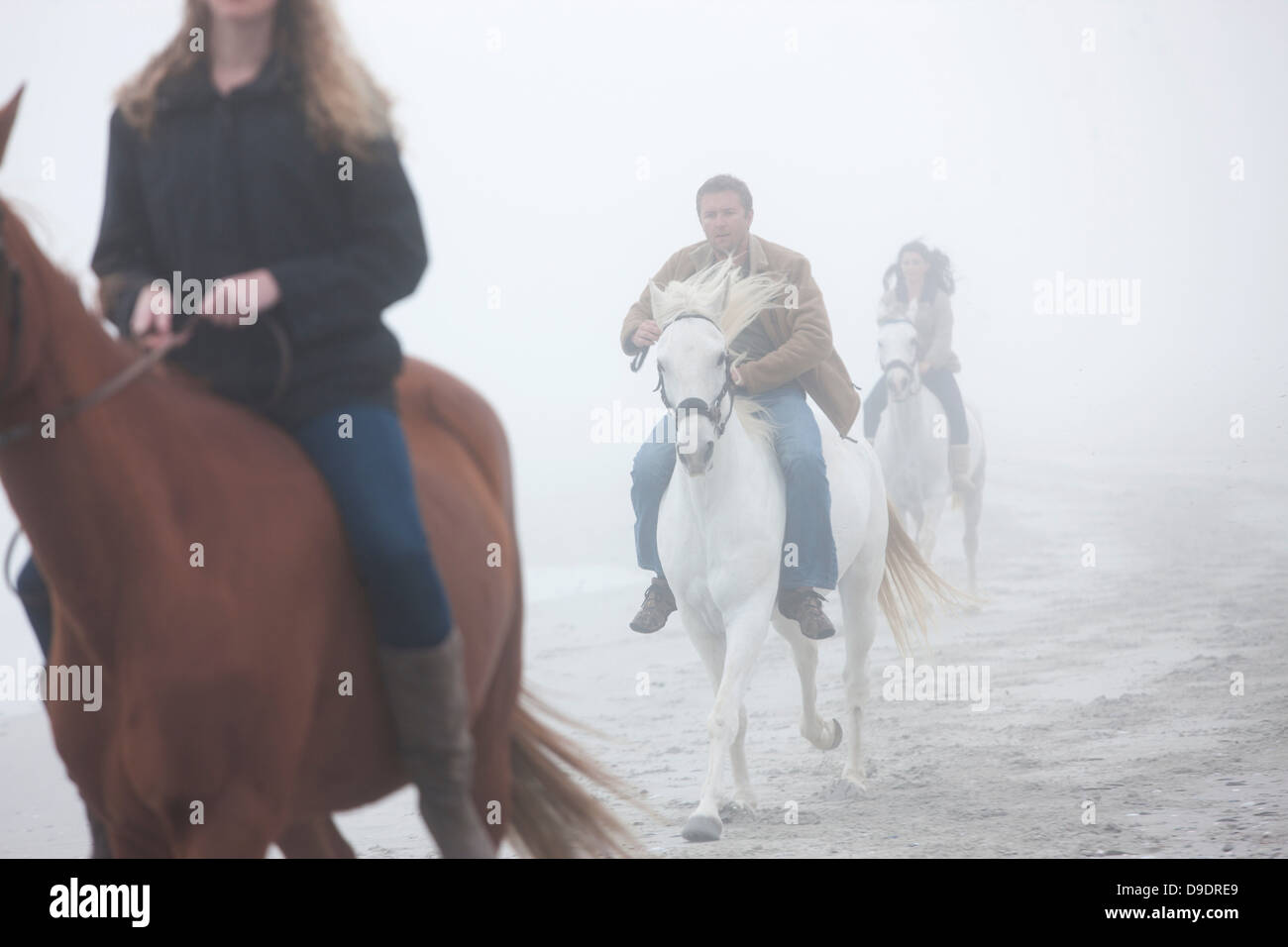 Les gens riding horse on beach Banque D'Images