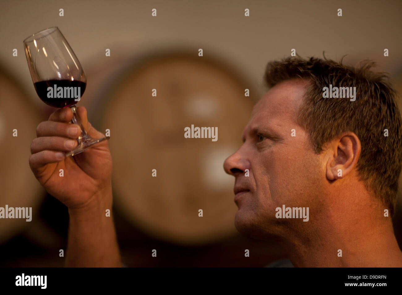 L'homme contrôle de la couleur de vin rouge Banque D'Images