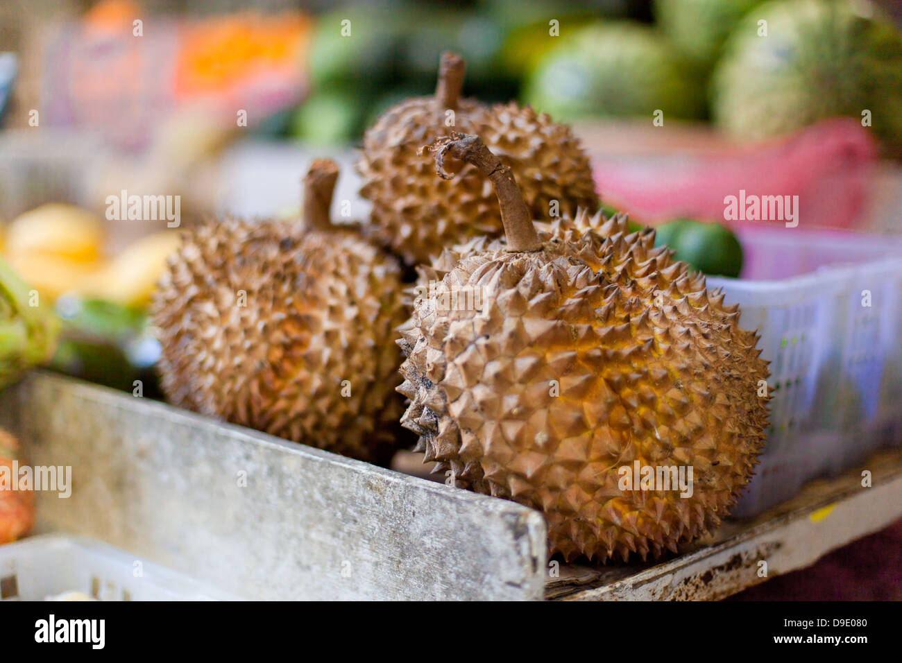 Durian sur le marché asiatique Banque D'Images