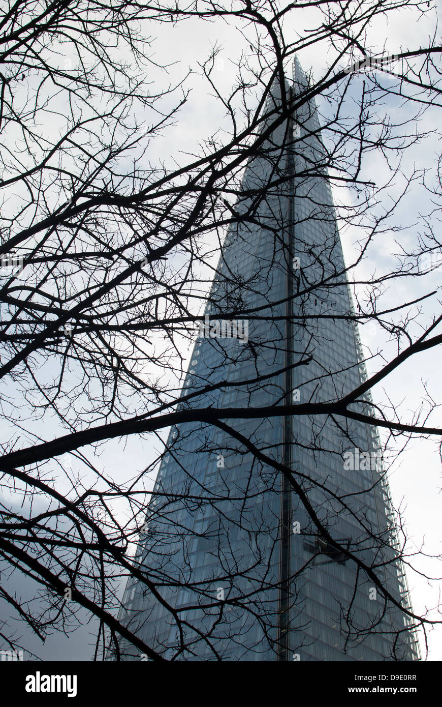 Le Shard building enveloppé par les branches d'un arbre en Tooley Street, Londres, Angleterre. Banque D'Images