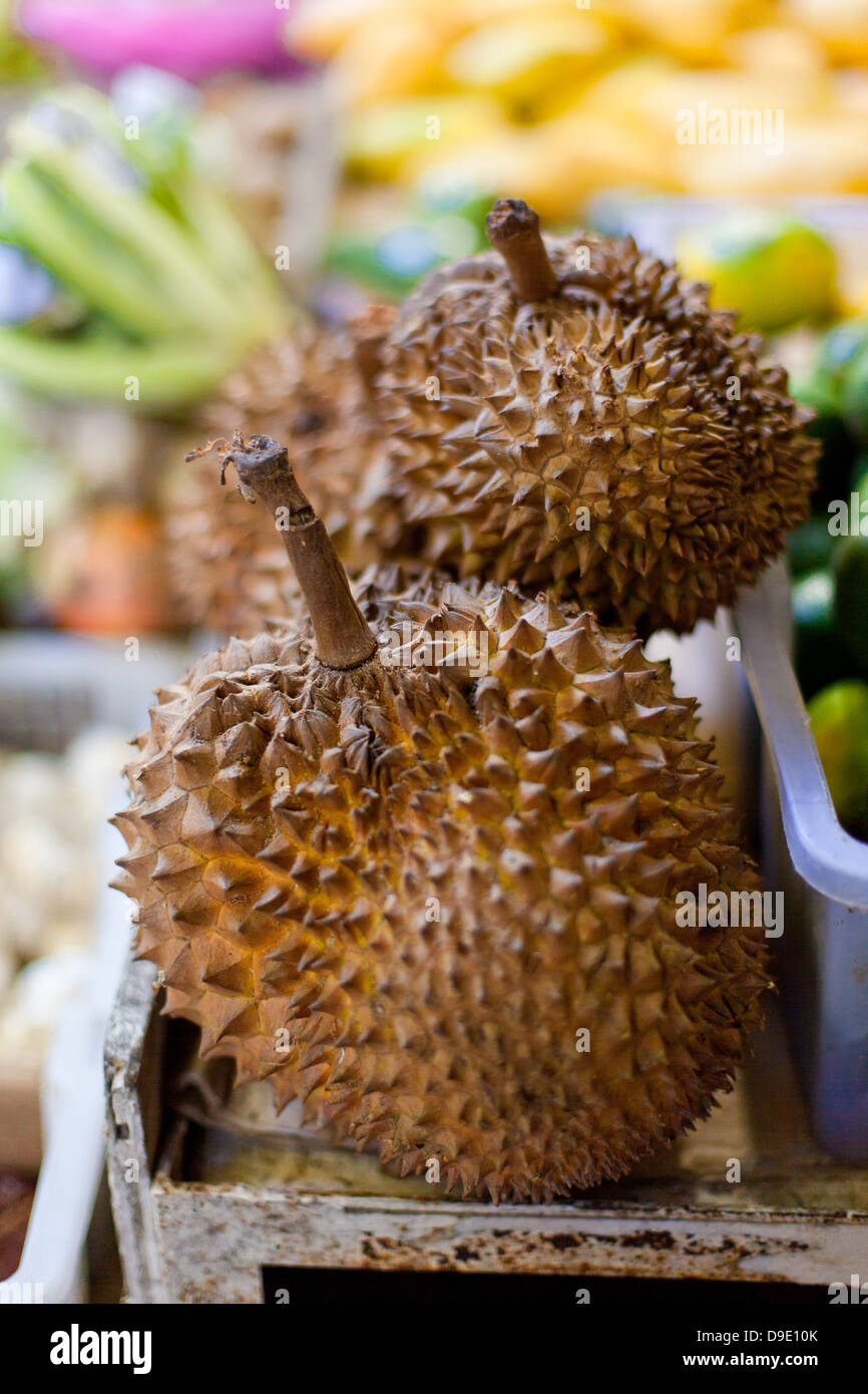 Durian sur le marché asiatique Banque D'Images