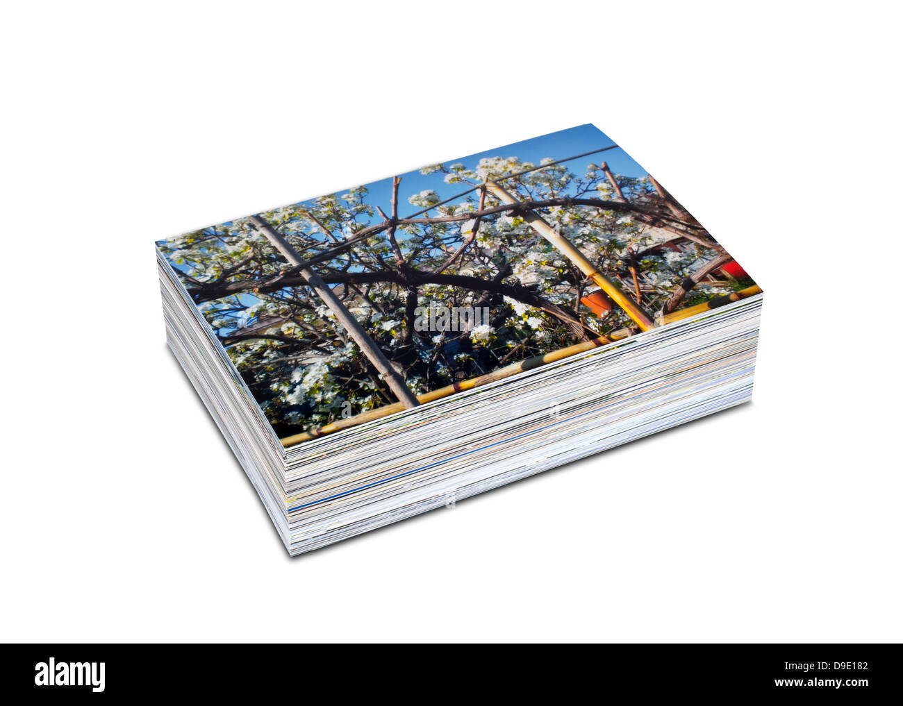 Pile de photos imprimées sur du papier photo Banque D'Images