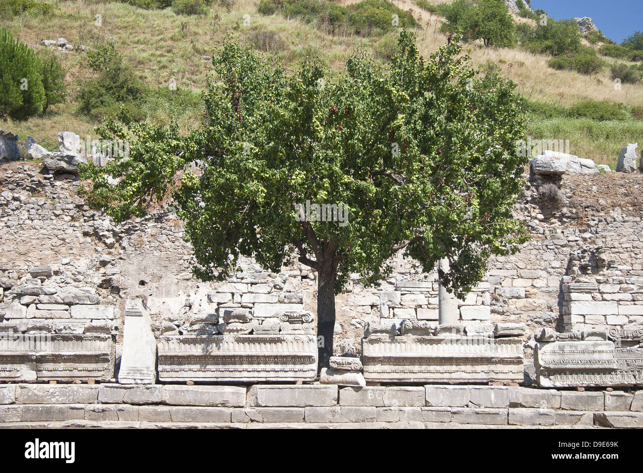 Vieille ville d'Ephèse. La Turquie Banque D'Images