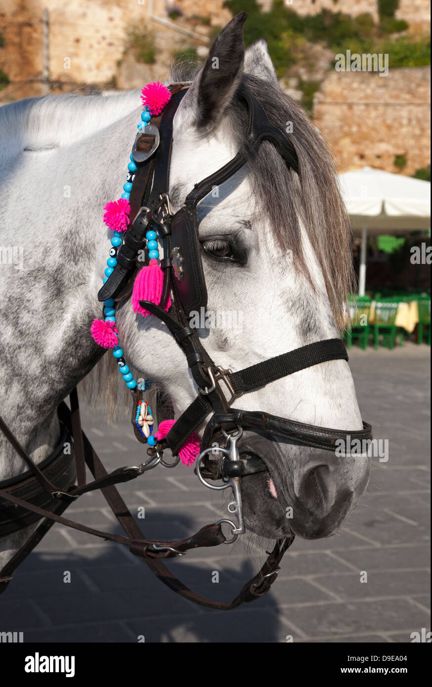 Postiche Chignon & Queue de Cheval, Bandeau Cheveux